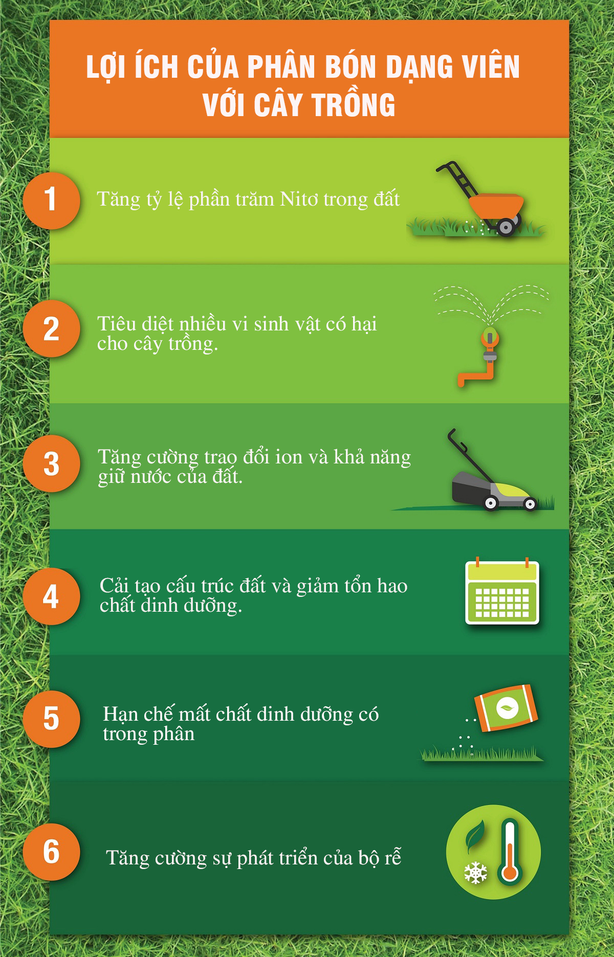 Lợi ích mà phân bón dạng viên đem lại