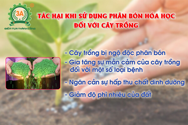 tác hại của lạm dụng phân bón hóa học