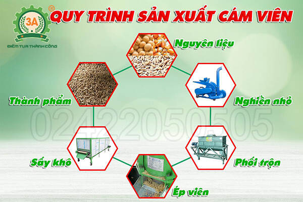 quy trình hoạt động