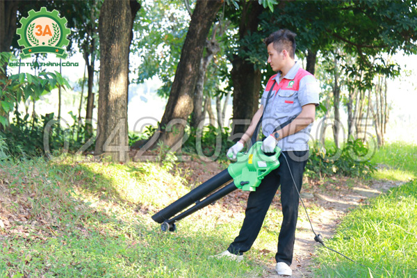 máy thổi lá cây 3A