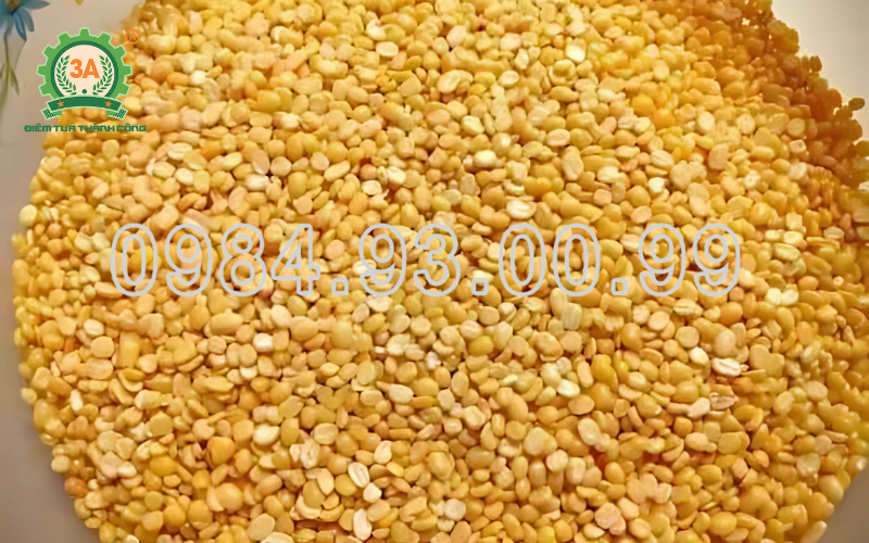 máy nghiền ngô